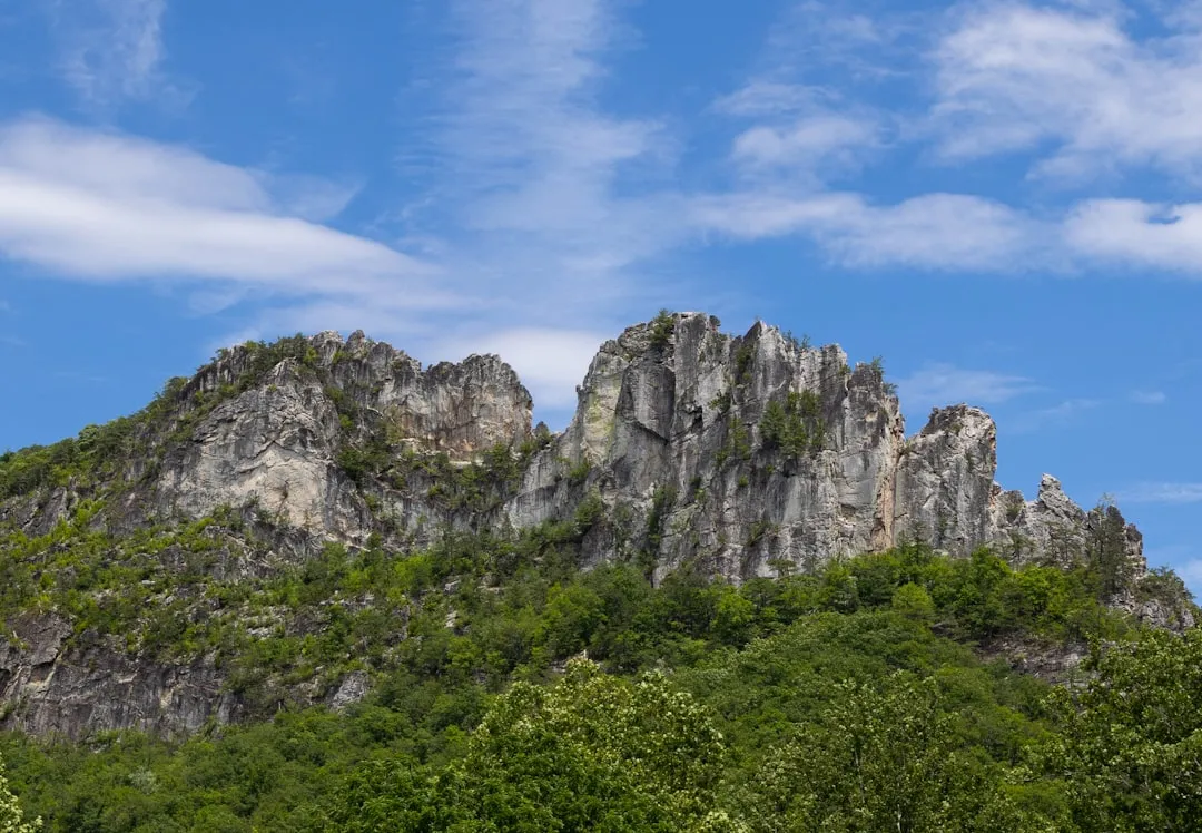 9. Monongahela National Forest, West Virginia (Image Credits: Unsplash)