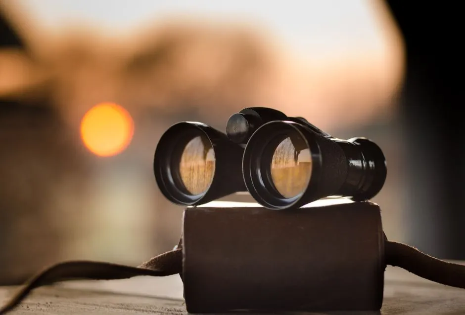 Prioritize Low-Light Hours When Wildlife Is Most Active (Image Credits: Pexels)
