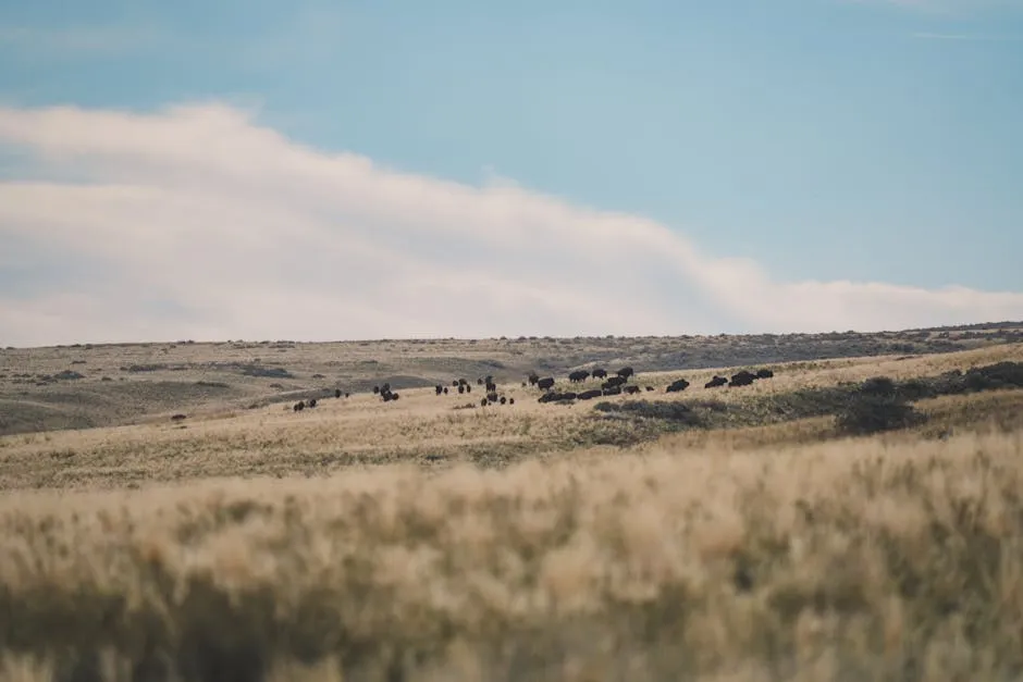The Verdict From Wildlife Specialists (Image Credits: Pexels)