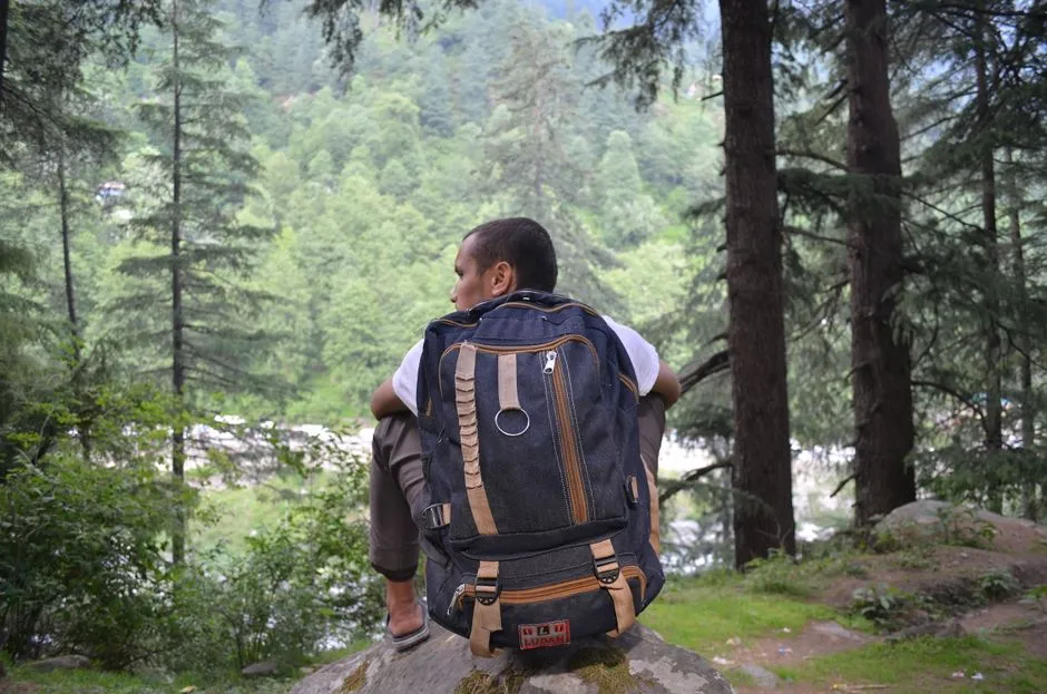 Travelers of the Zodiac, by Every Definition (Image Credits: Pexels)