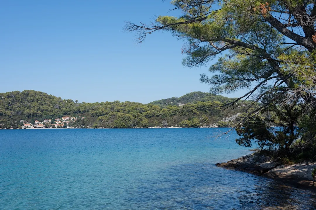 Gemini: Croatia's Dalmatian Coast (Image Credits: Unsplash)
