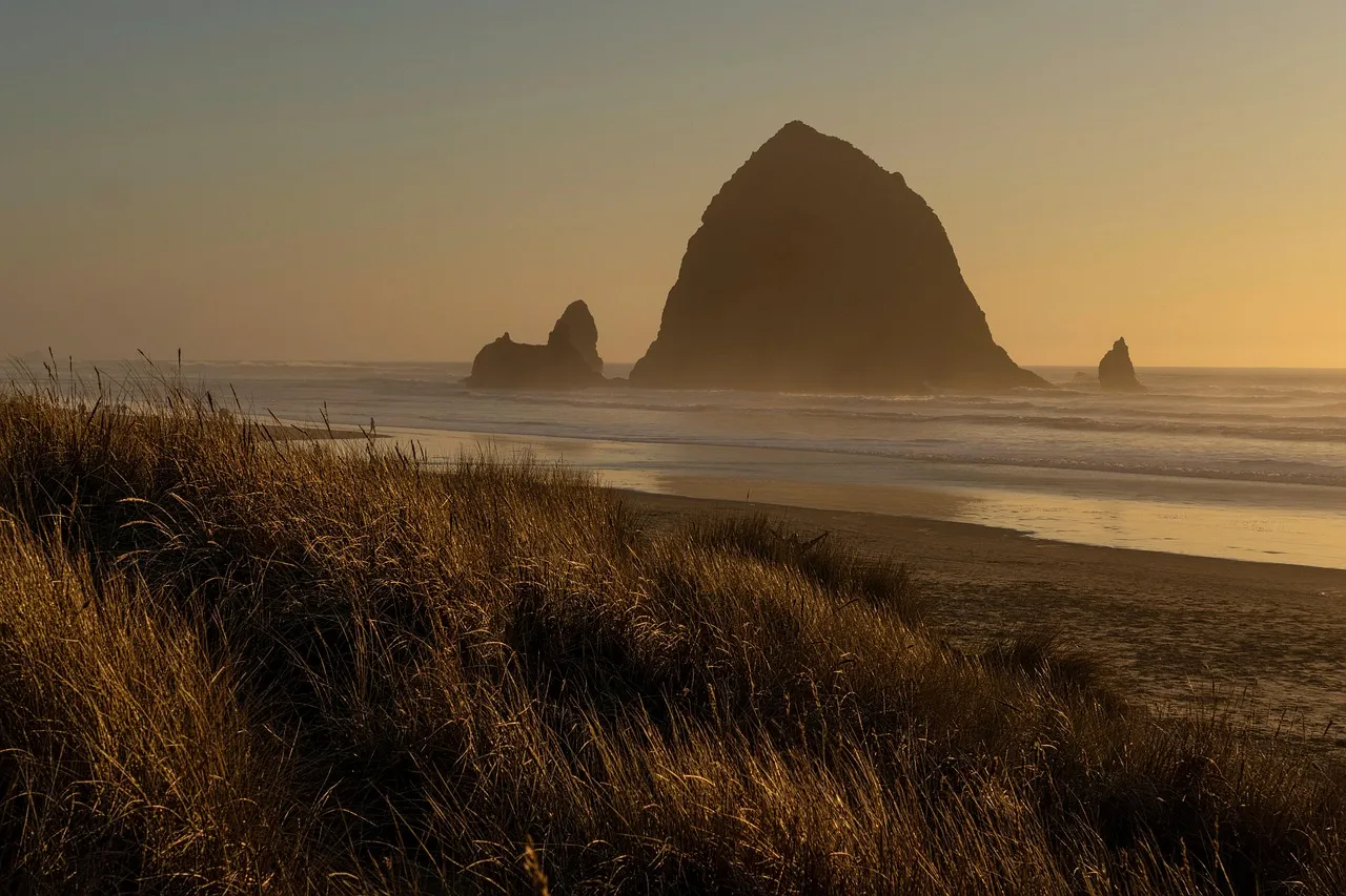 A Coastal Rhythm Worth Returning To (Image Credits: Pixabay)