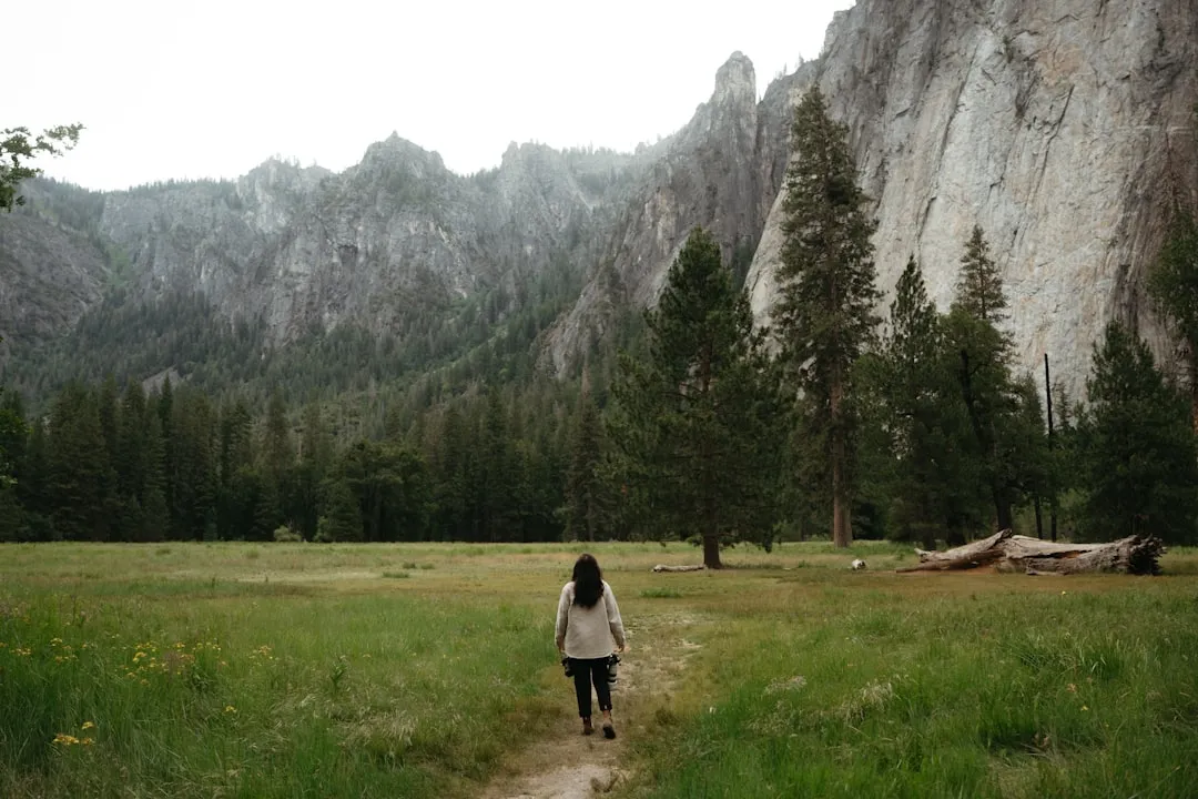 The Important Fine Print on Free Days (Image Credits: Unsplash)