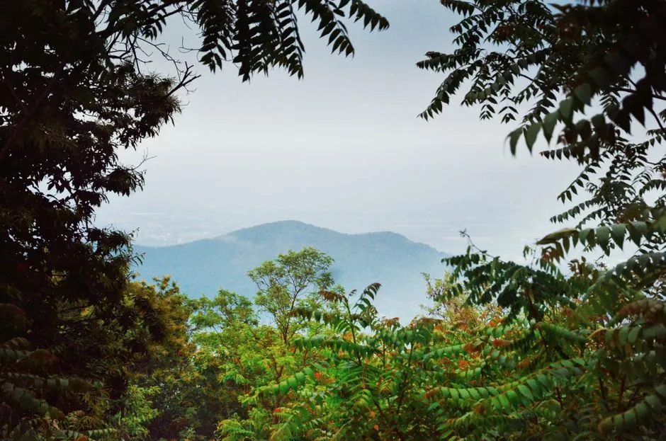 You Feel a Pull to Return to the Same Overlook Year After Year: The Roots-Seeker (Image Credits: Pexels)