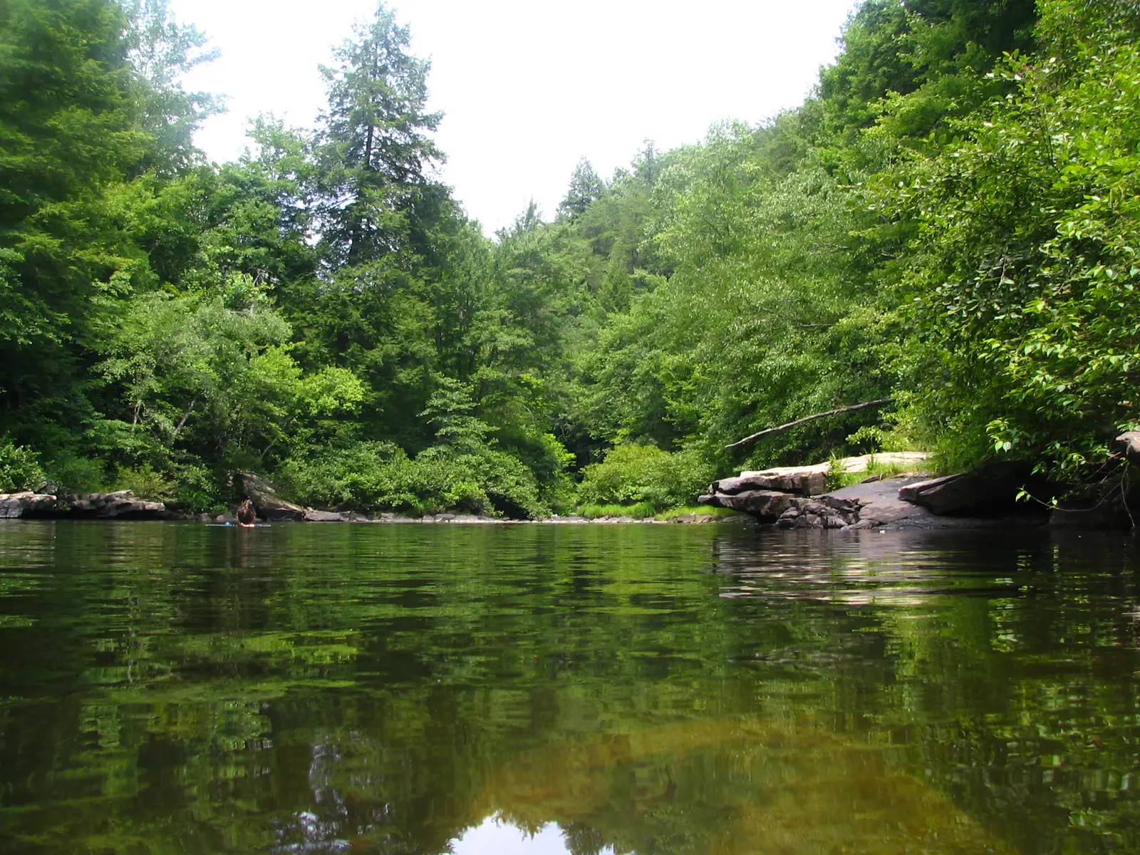 The Conservation Model Keeps It Worth Visiting (A Tennessee Swimming Hole, CC BY 2.0)