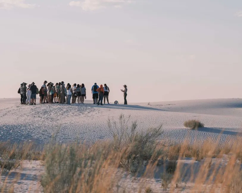 Visitation Numbers Tell a Story of Growing Interest (Image Credits: Pexels)