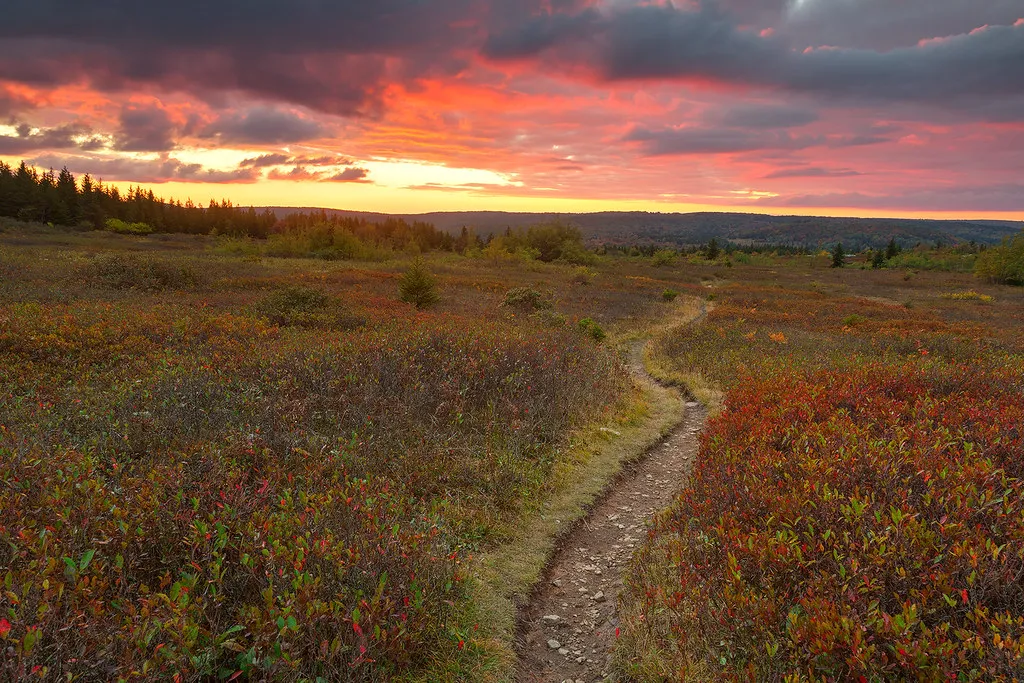 Virginia History Buffs Are Headed To This Small Town You've Never Heard Of