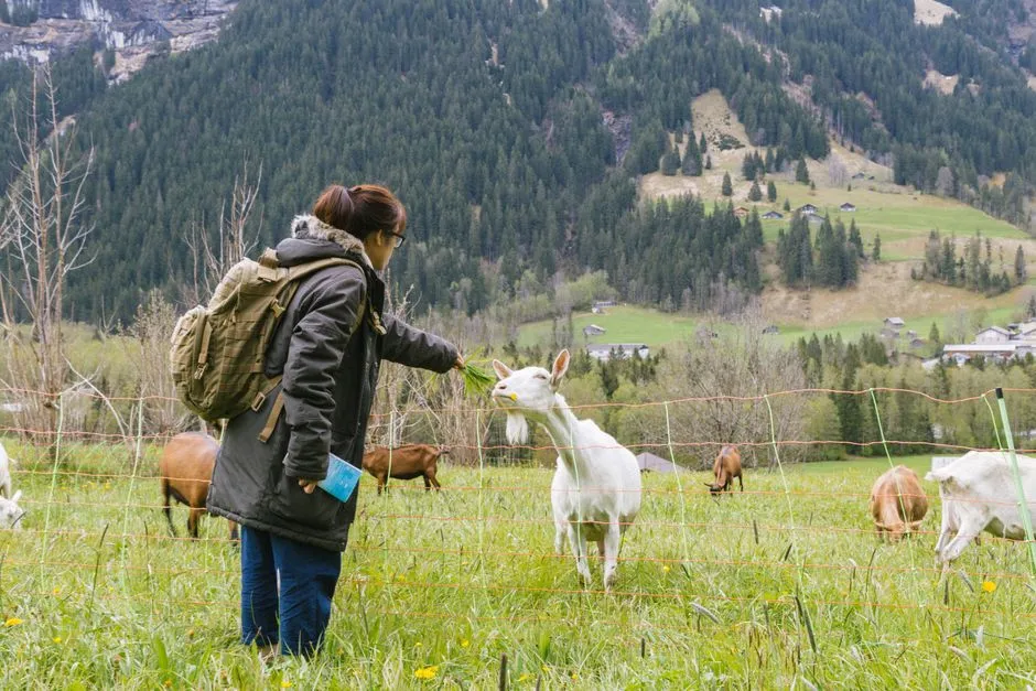 What There Is to Do on a Typical Weekend (Image Credits: Pexels)