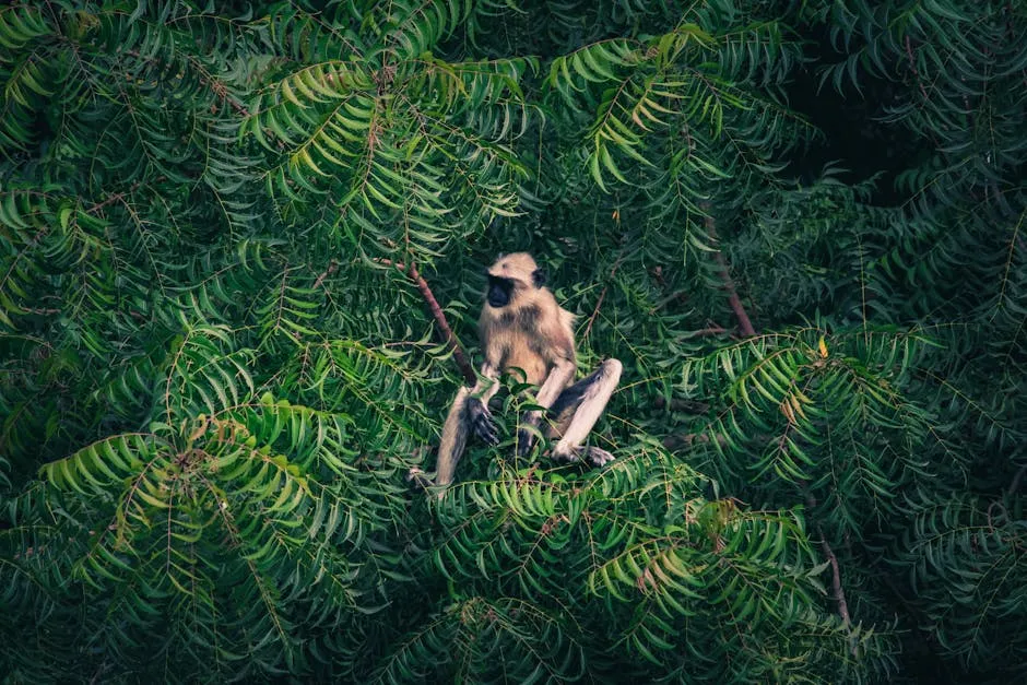 Conservation Under Pressure: Threatened Ecosystems and New Laws (Image Credits: Pexels)