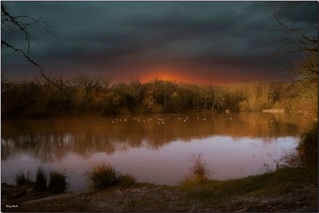 What Americans Actually Come to Parks to Hear (The Hidden Hide with Ray, Flickr, CC BY 2.0)