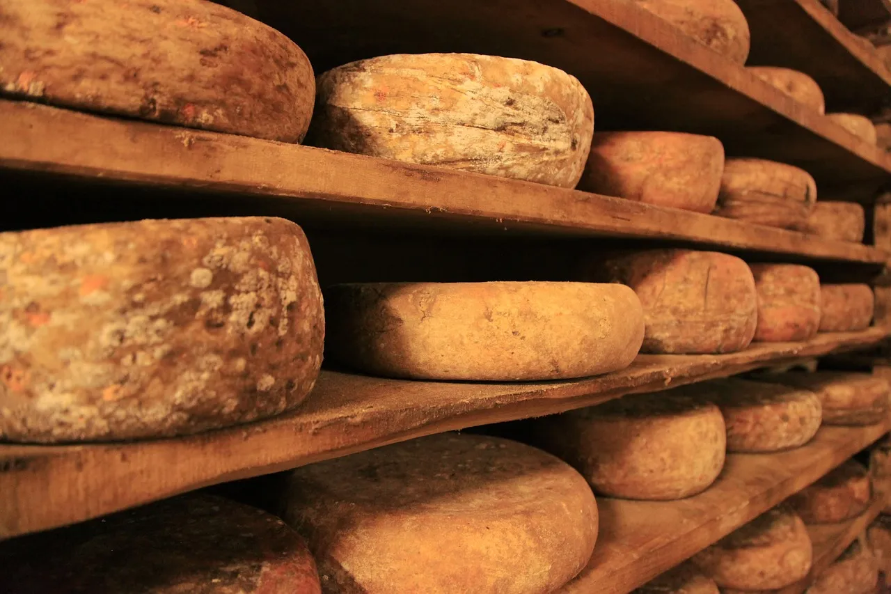 Why Cheese, Specifically? (Image Credits: Pixabay)