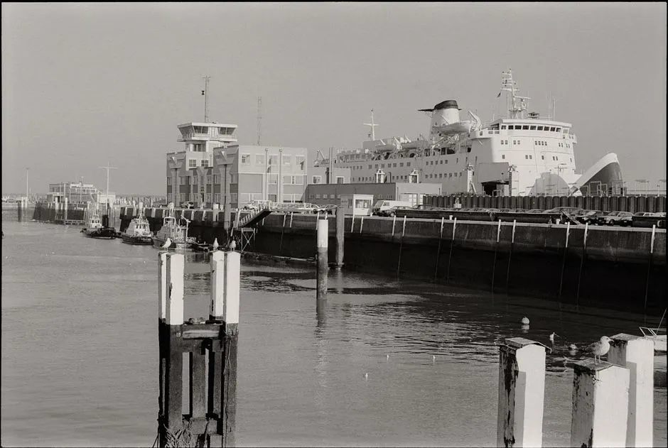 Washington State Ferries and the Living Wharf Tradition (Image Credits: Pexels)