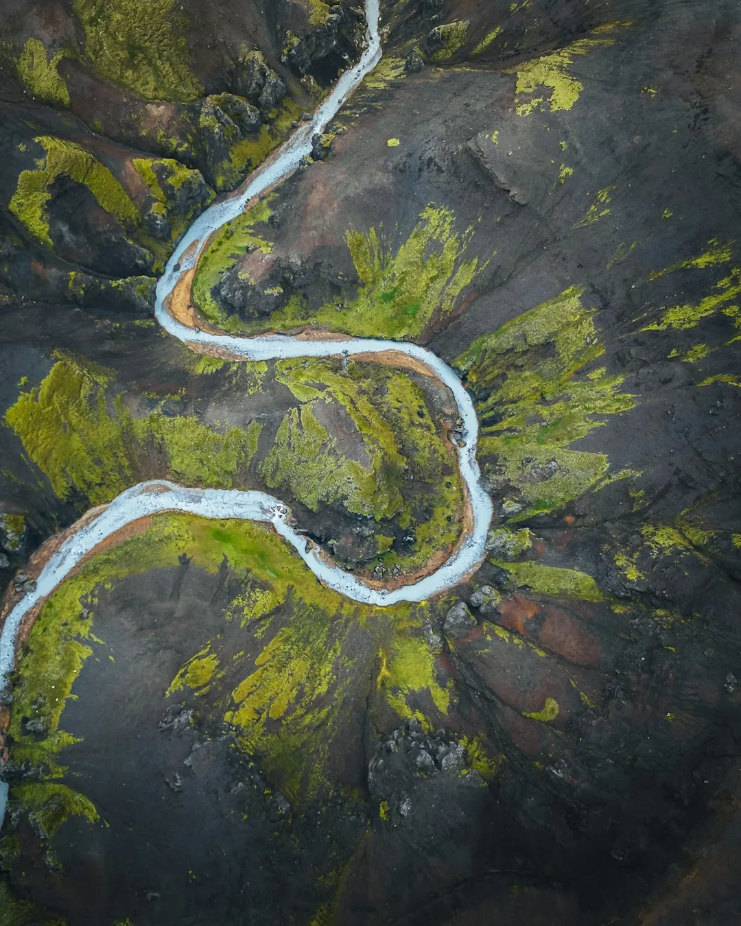 Water Sources Serve as Natural Navigation Landmarks (Image Credits: Unsplash)