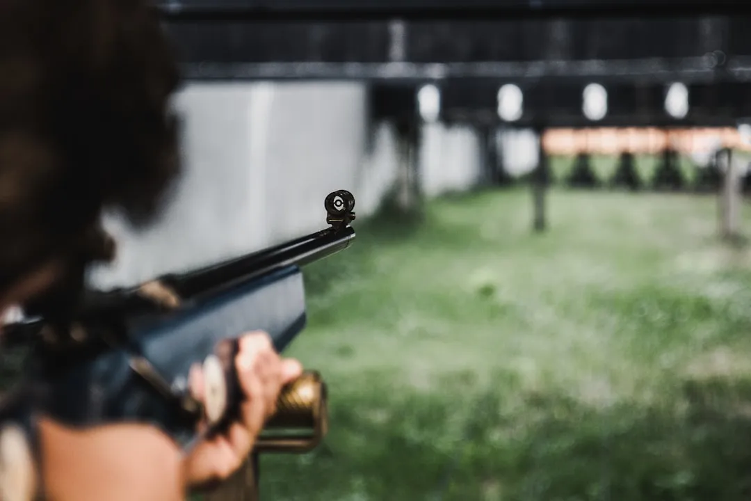 The Interactive Shooting Dark Ride: You Want to Influence the Outcome (Image Credits: Unsplash)