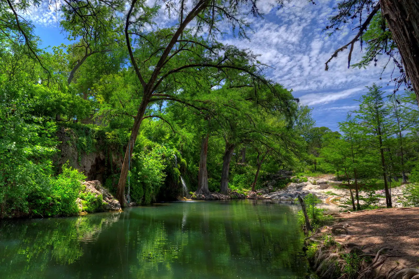 Wildlife, Ecology, and the Living Web Beneath the Surface (By Brian P. Barnes, CC BY-SA 3.0)