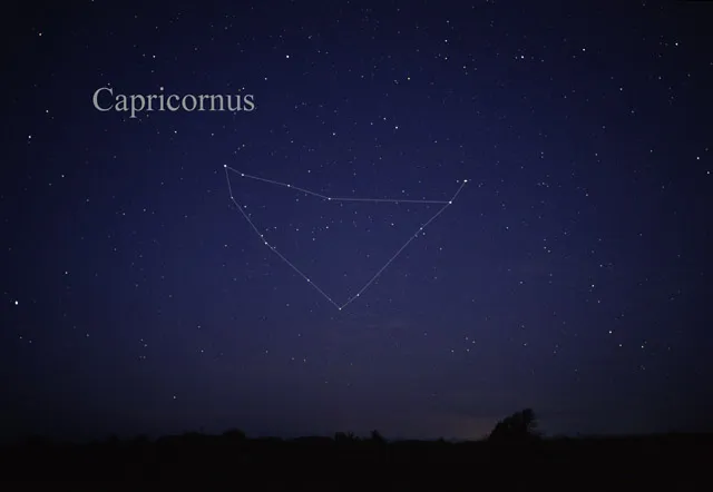 Capricorn: The Methodical Space Taker (By Till Credner, CC BY-SA 3.0)
