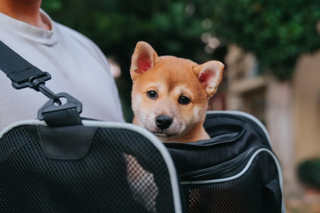 The Weight Limit Is a Separate Rule Most Owners Miss (Image Credits: Unsplash)