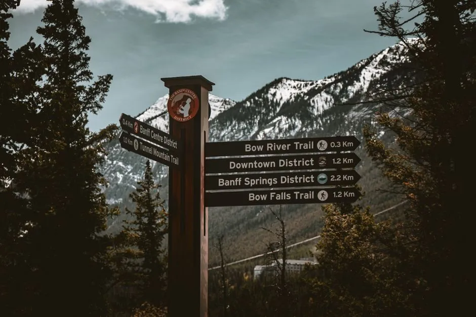 Reading the Trail for Signs Before You Get Close (Image Credits: Pexels)