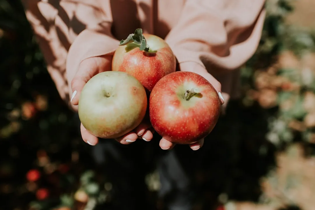 The Quieter Pleasures That Sustain the Season (Image Credits: Unsplash)