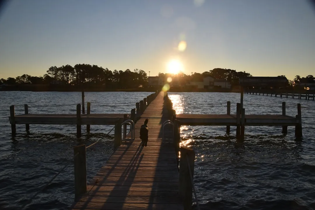 7. Chincoteague Island, Virginia (Image Credits: Unsplash)