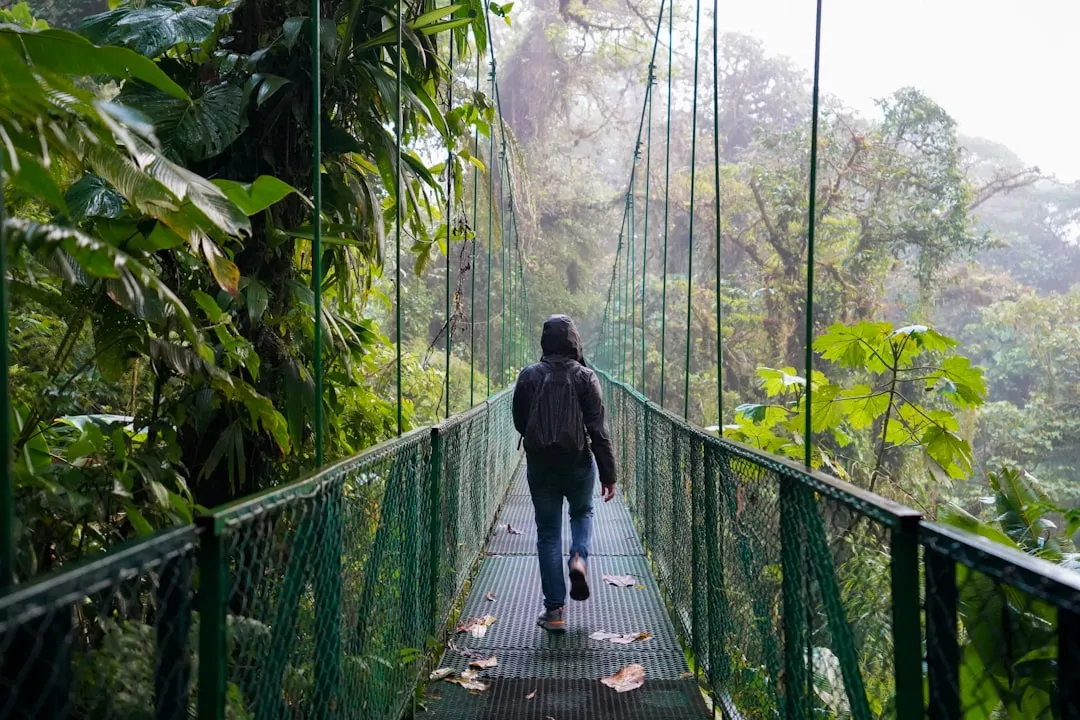 3. Costa Rica: The "Green Season" Rebranding That Actually Works (Image Credits: Unsplash)