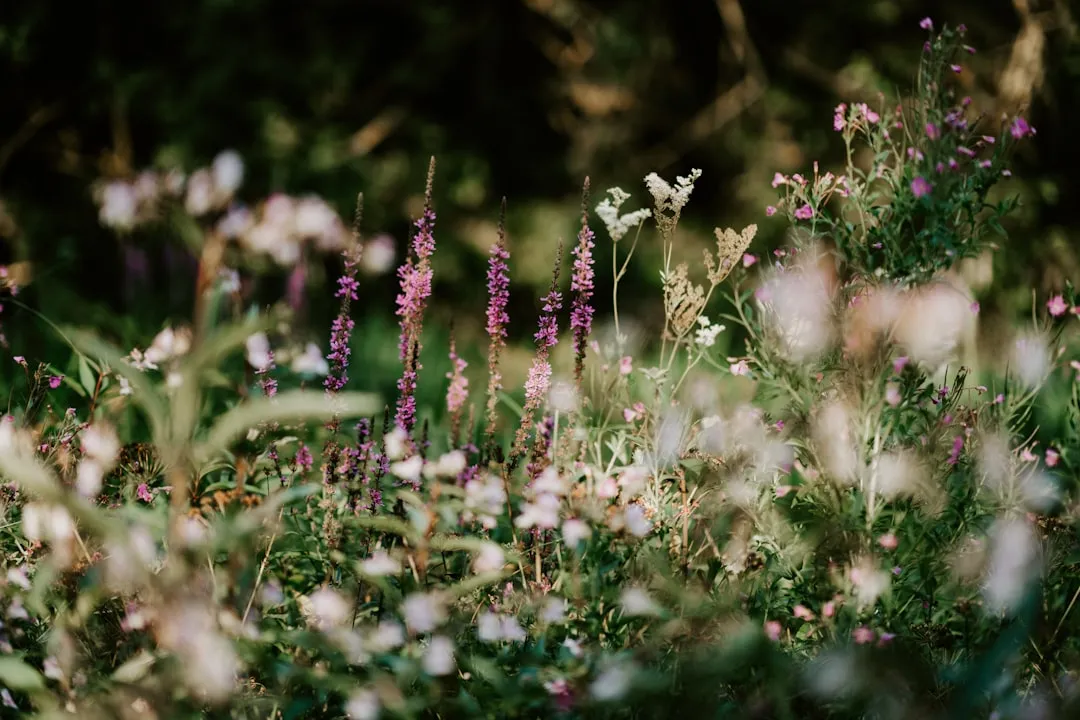 The Science Behind the Blooms Is Fascinating (Image Credits: Unsplash)