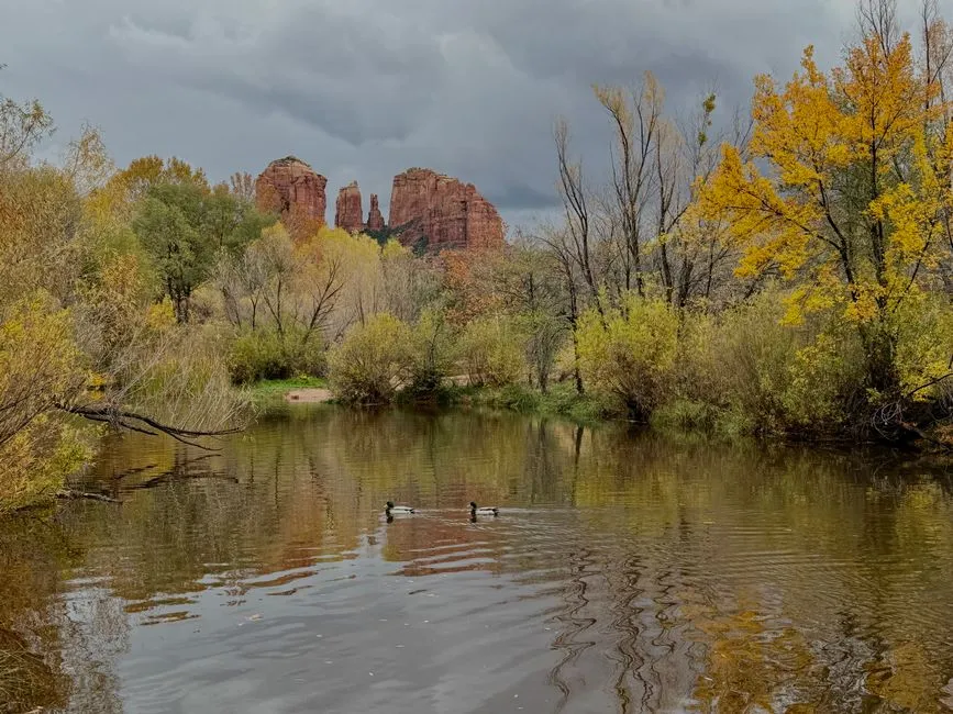 Oak Creek Canyon: Where the Road Gets Extraordinary (Image Credits: Pexels)