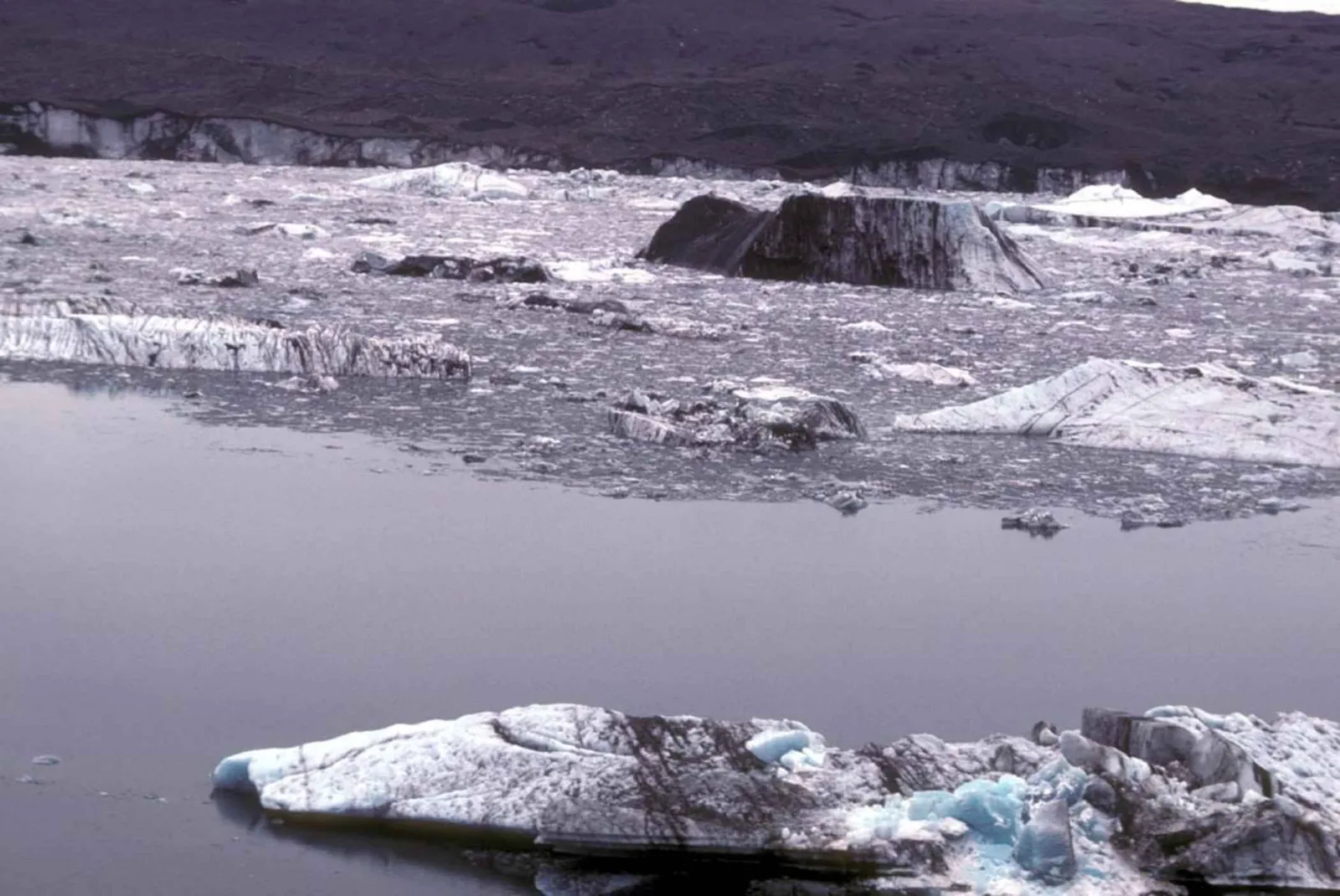 A Glacier That Surges (By U.S. Fish and Wildlife Service, Public domain)