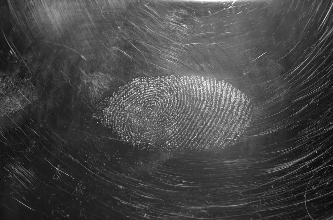 Biometric eGates Are Moving Into the Mainstream (Image Credits: Unsplash)