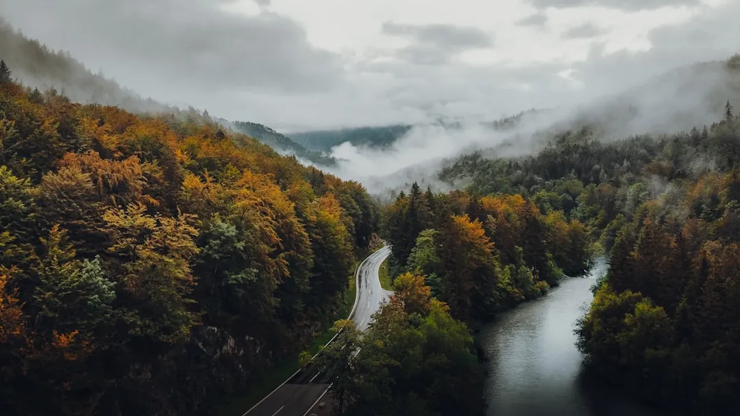 The Cultural Rewards Go Beyond Just Lower Prices (Image Credits: Unsplash)