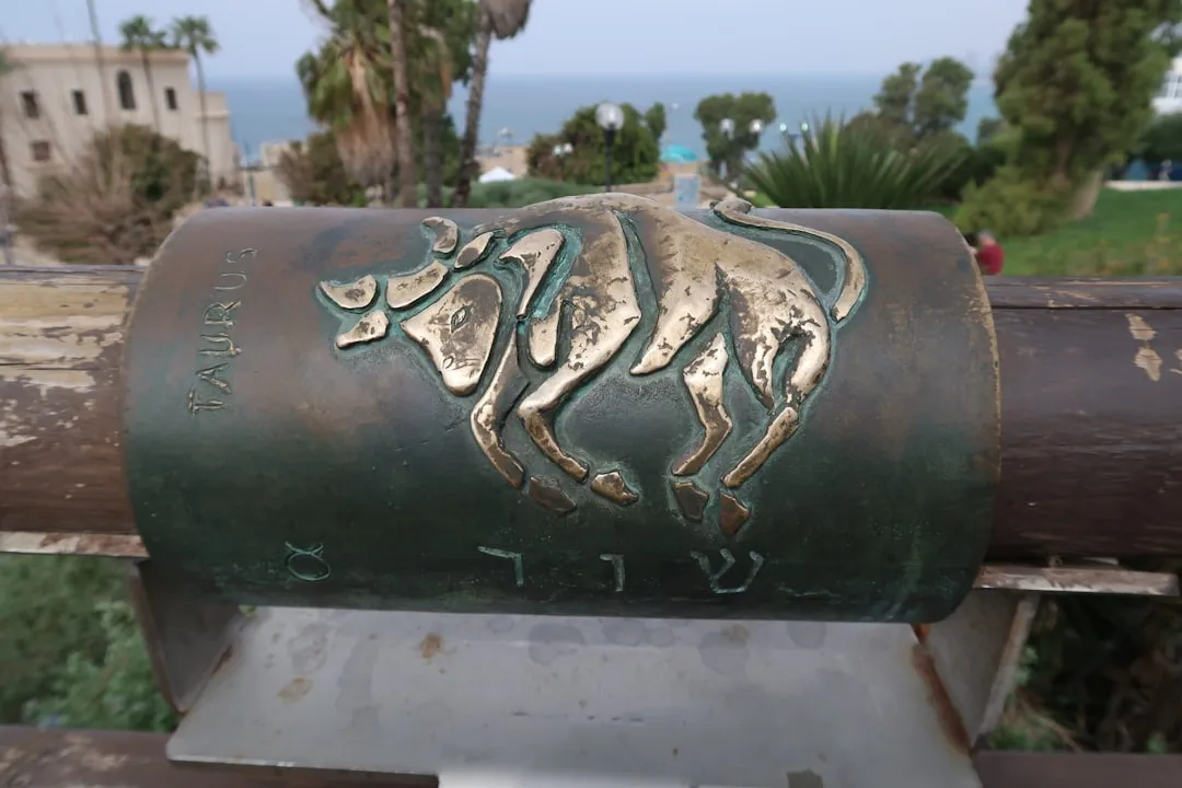 Taurus: The One Who Won't Compromise on Comfort (Image Credits: Unsplash)