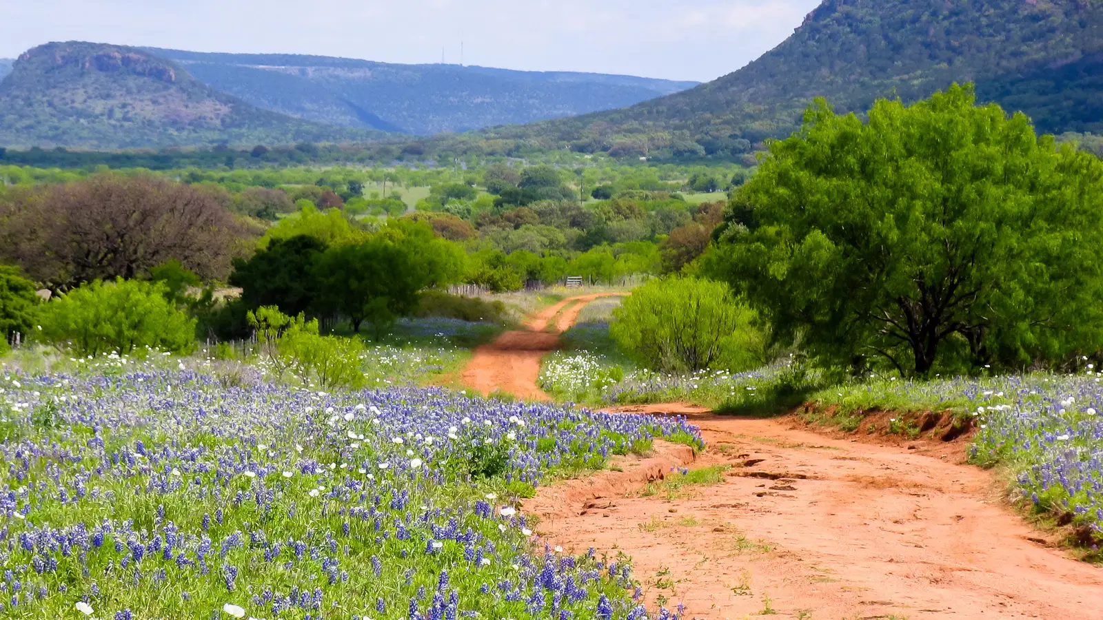 The Highland Lakes Bluebonnet Trail: A Loop Worth Planning (Imported from 500px (archived version) by the Archive Team. (detail page), CC BY-SA 3.0)
