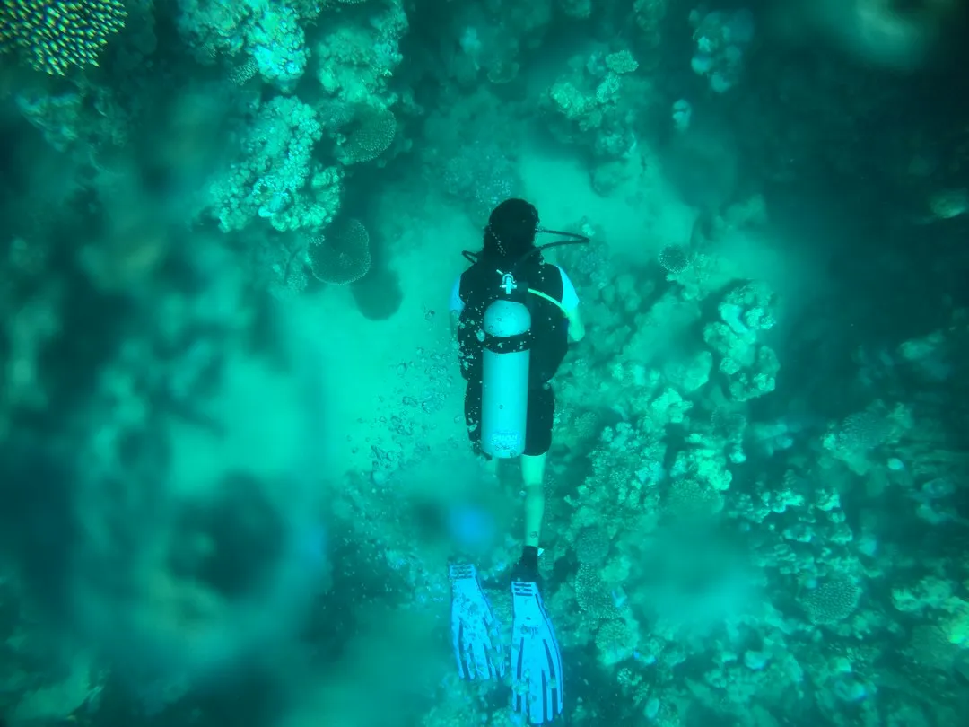 5. The Red Sea Coast: World-Class Diving With Year-Round Appeal (Image Credits: Unsplash)