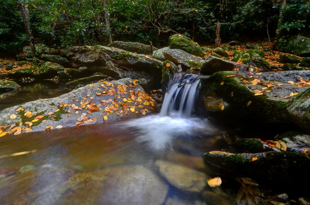 The Broader Blue Ridge Swimming Scene (miketnorton, Flickr, CC BY 2.0)