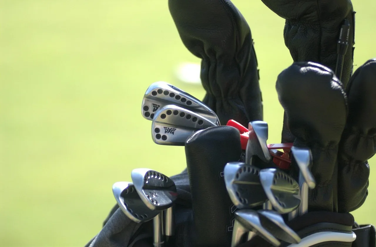 Tell Your Caddie How Much Help You Actually Want (Image Credits: Pixabay)