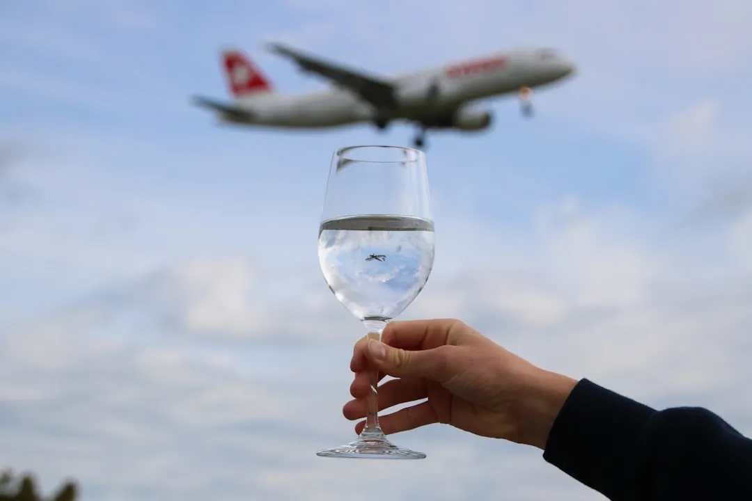 3. Drinking Water Steadily Throughout the Flight (Image Credits: Unsplash)
