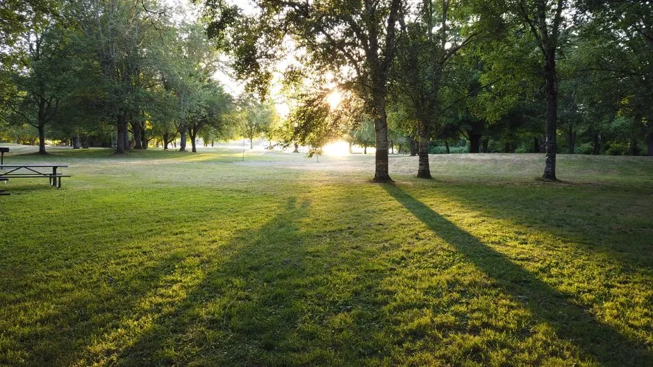 Sacajawea Park and the Riverside Green Space (Image Credits: Pexels)