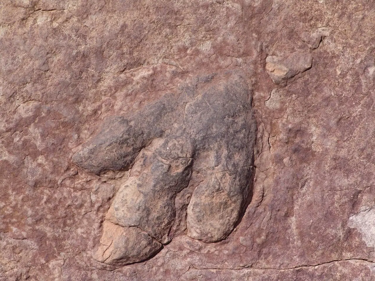 Footprints Frozen in Time: The Oldest Human Tracks in North America (Image Credits: Pixabay)