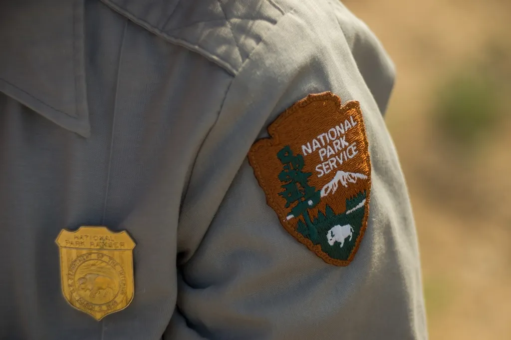 Enforcement Is Nearly Impossible in the Backcountry (Image Credits: Rawpixel)