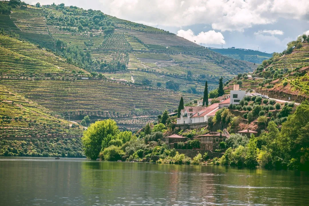 6. Foz do Douro: Where the River Finally Meets the Sea (Image Credits: Unsplash)
