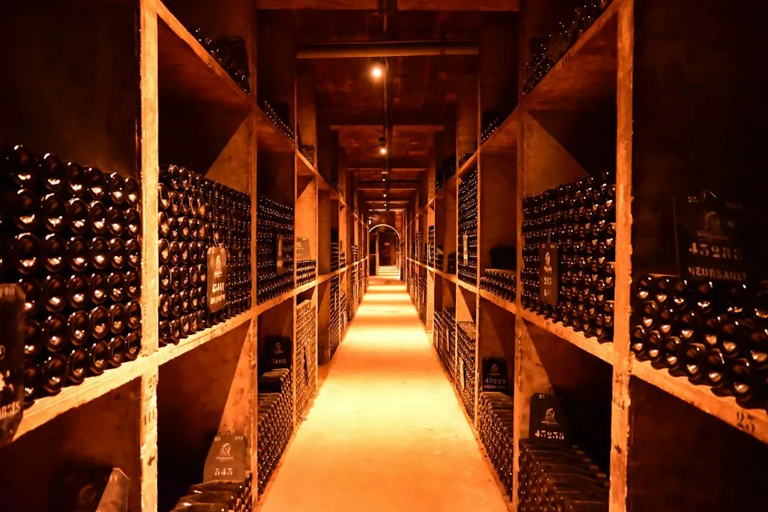 Why Cellar Access Is Never Guaranteed (But Often Possible) (Image Credits: Unsplash)