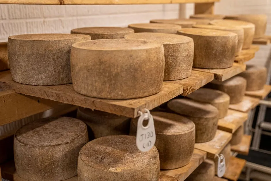 4. Murray's Cheese Caves, Queens, New York (Image Credits: Pexels)
