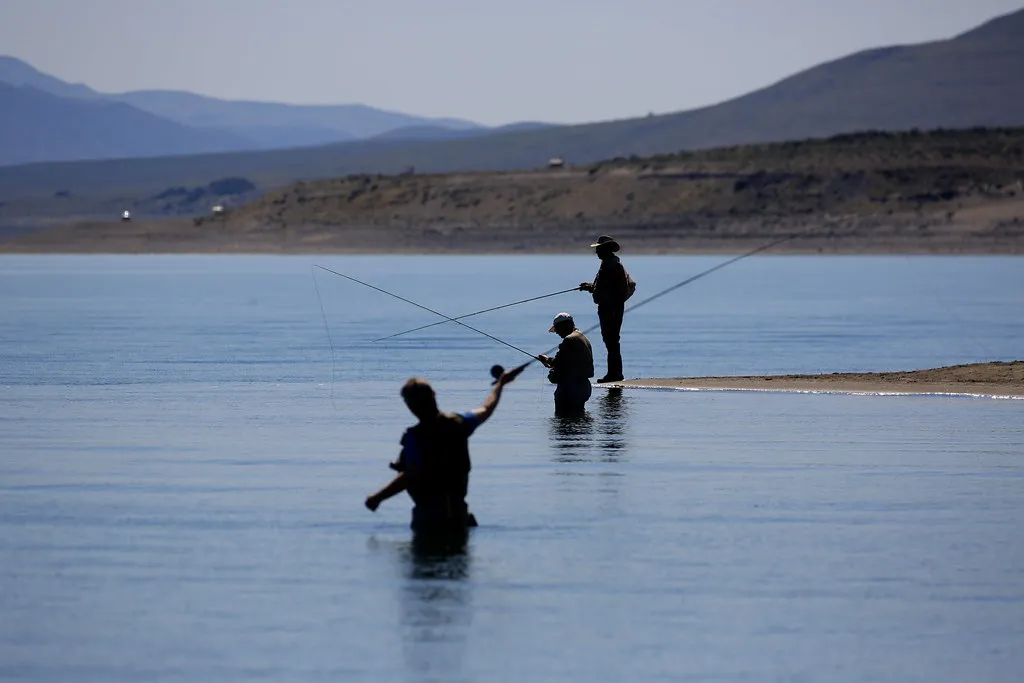 The Fishing Is Genuinely World-Class (seabamirum, Flickr, CC BY 2.0)