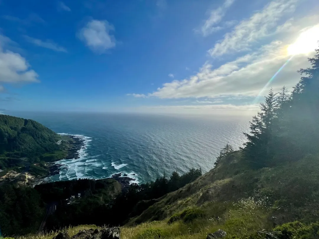 Cape Perpetua: 800 Feet Above a Forgotten Shore (Image Credits: Unsplash)