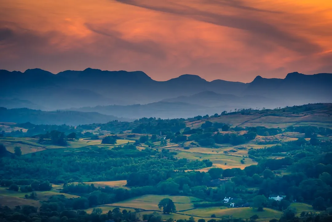 The Community Factor That Often Goes Unnoticed (Image Credits: Unsplash)