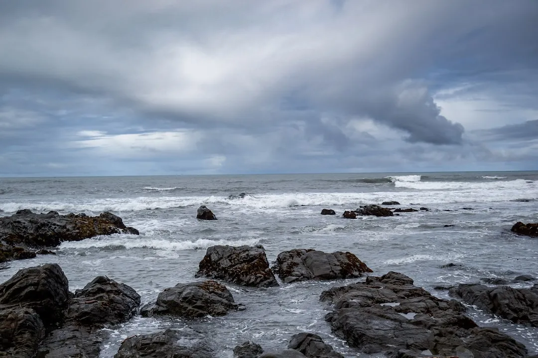 1. Cambria, Central Coast: Where the Pines Meet the Sea (Image Credits: Unsplash)