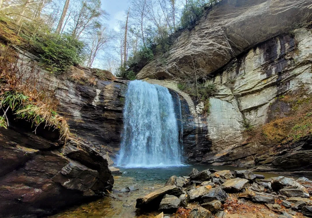 North Carolina Highlights That Kids Actually Enjoy (Image Credits: Unsplash)