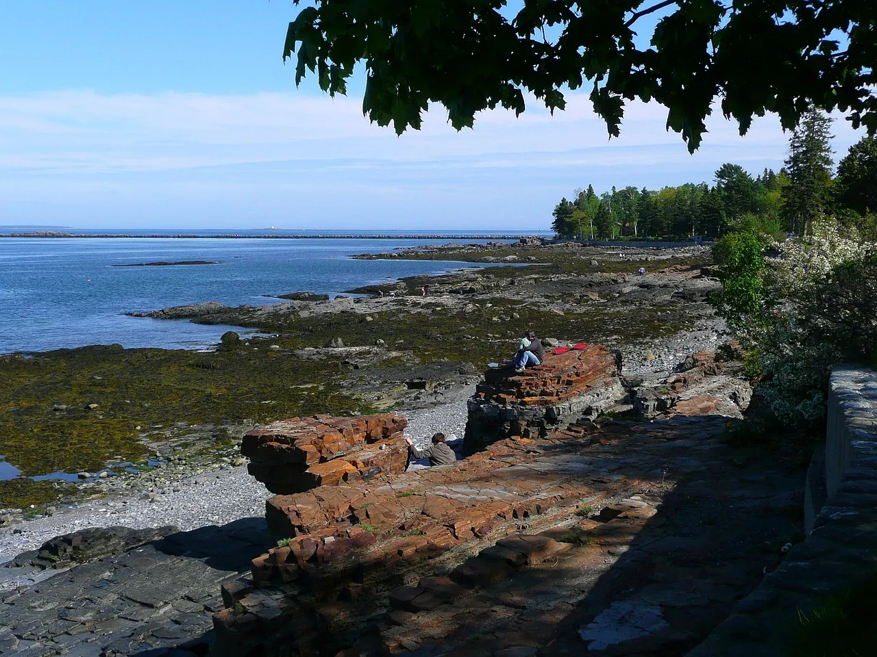Acadia National Park - Maine's Atlantic Masterpiece (Image Credits: Pixabay)