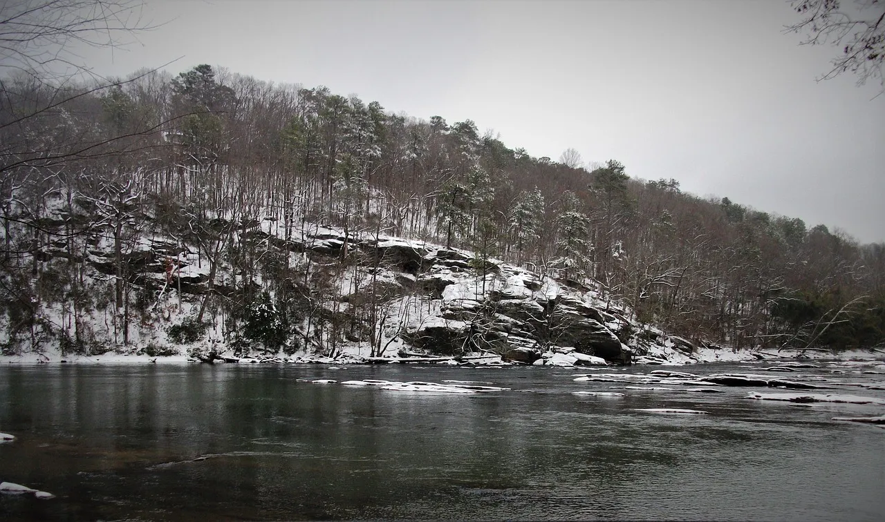 Why North Georgia's Swimming Holes Are Drawing More Visitors (Image Credits: Pixabay)