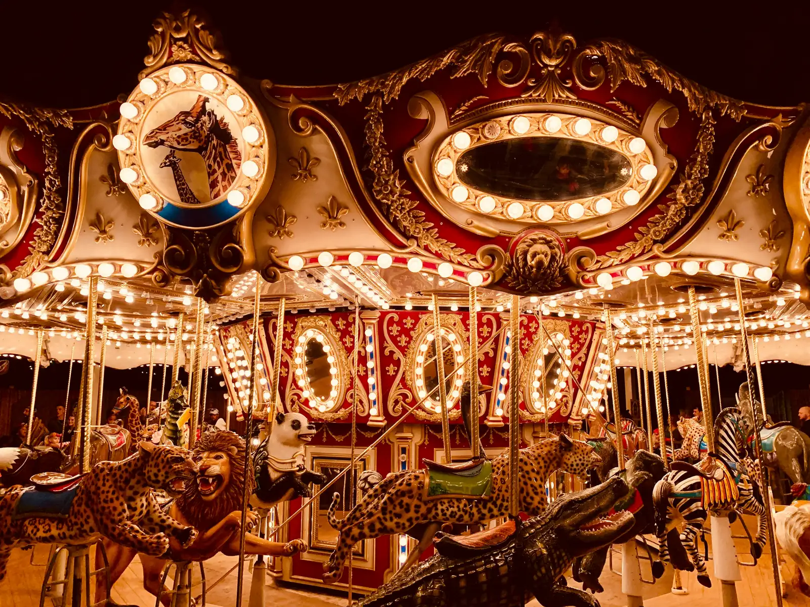 The Rotating Restoration Model That Keeps Horses Alive (Image Credits: Unsplash)